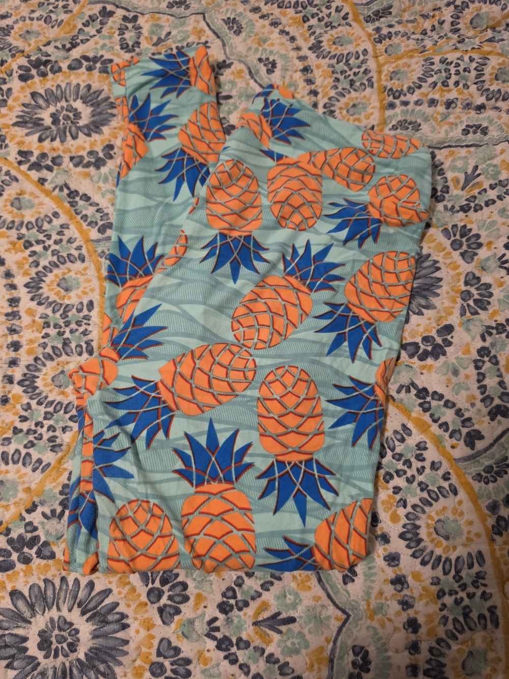Pineapple Print Swim Bottoms in Aqua and Orange